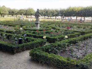 Bamberg rose garden
