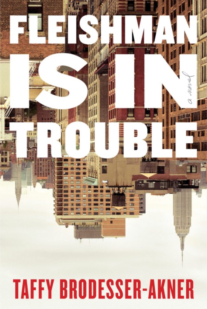 Fleishman Is In Trouble Book Review experiences and reflections